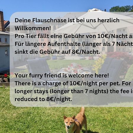 F1 - Urlaubsmagie - Helle Wohnung Mit Sauna & Pool & Whirlpool Sebnitz Exteriér fotografie