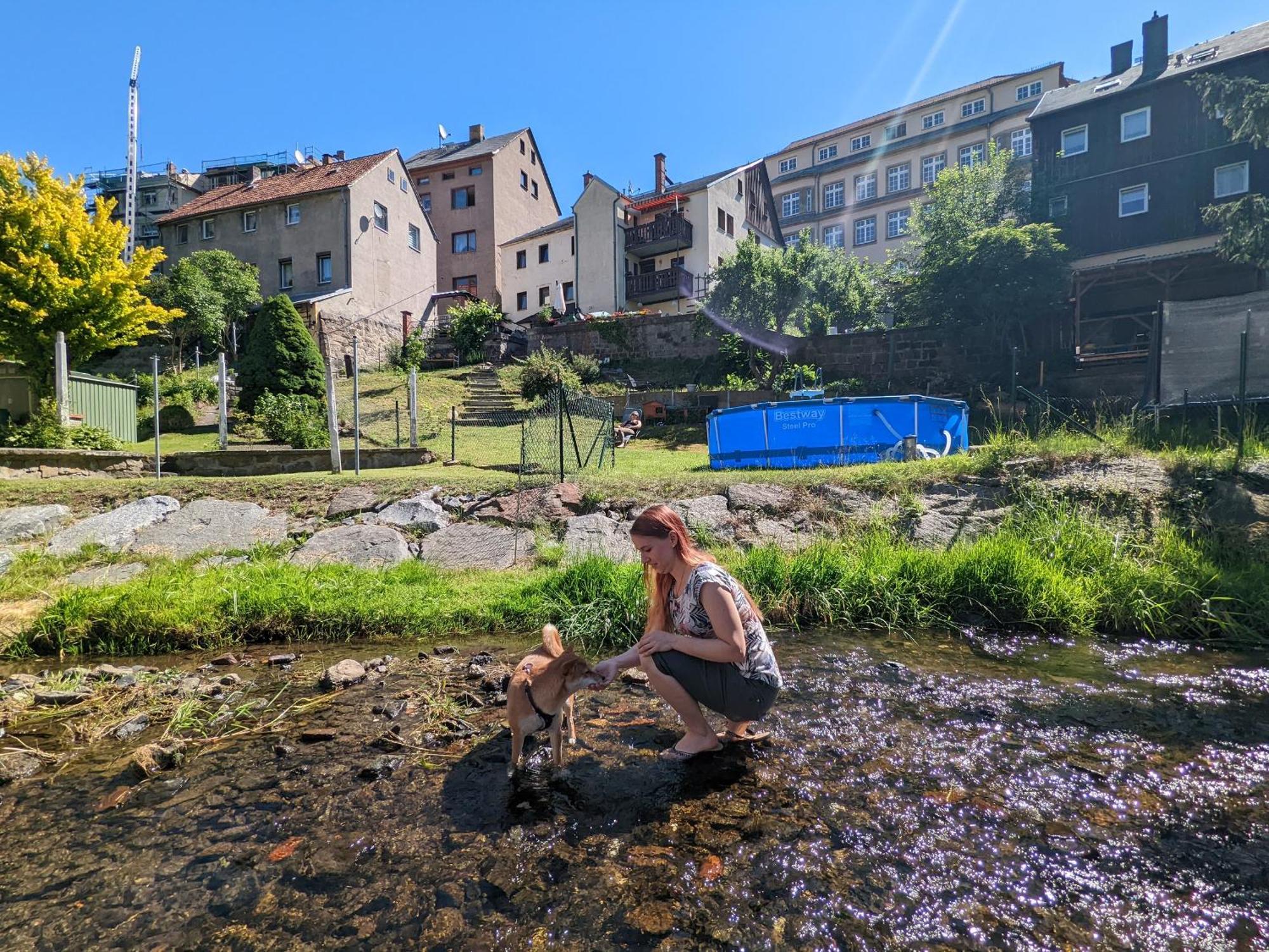 F1 - Urlaubsmagie - Helle Wohnung Mit Sauna & Pool & Whirlpool Sebnitz Exteriér fotografie