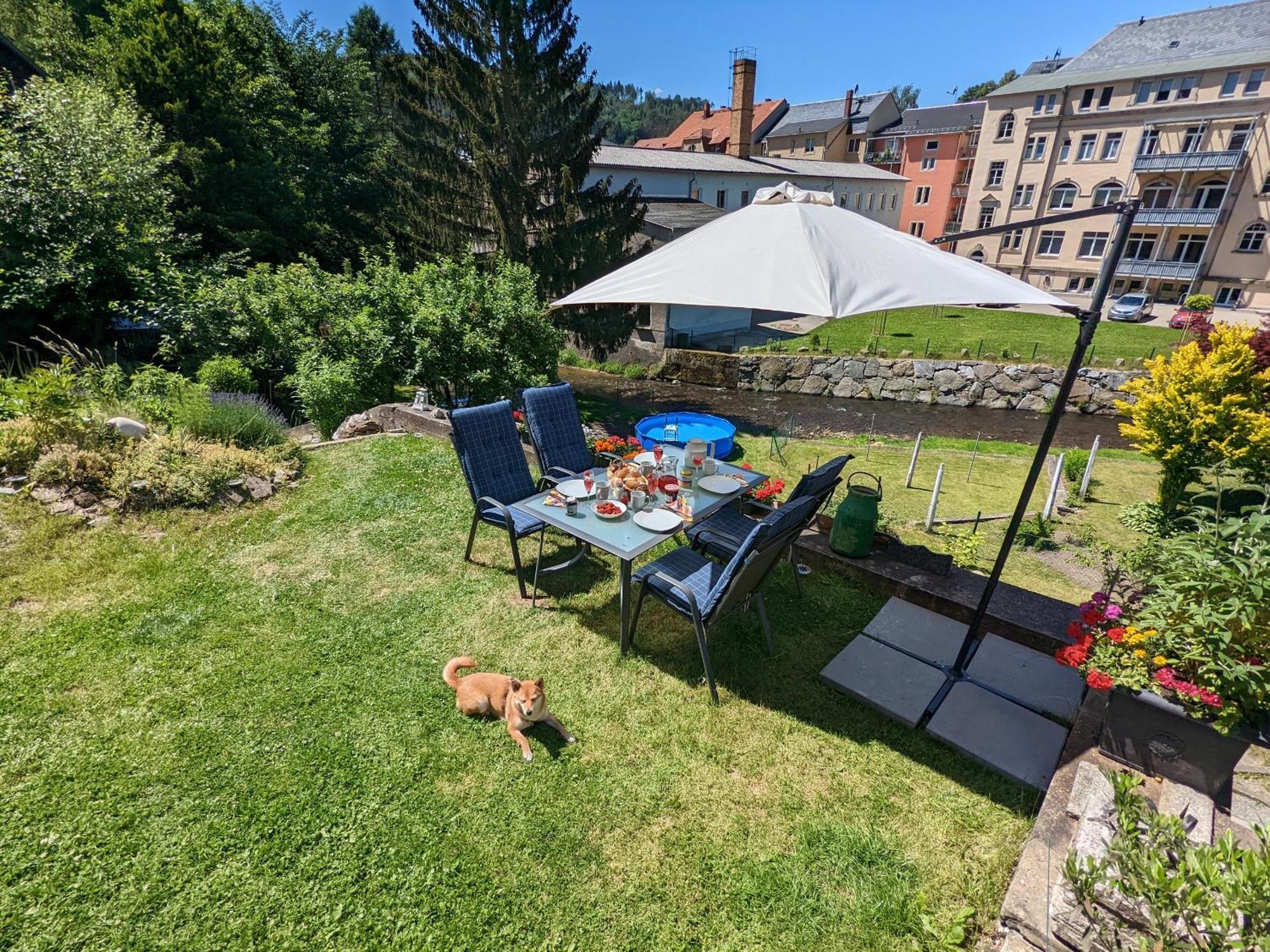 F1 - Urlaubsmagie - Helle Wohnung Mit Sauna & Pool & Whirlpool Sebnitz Exteriér fotografie