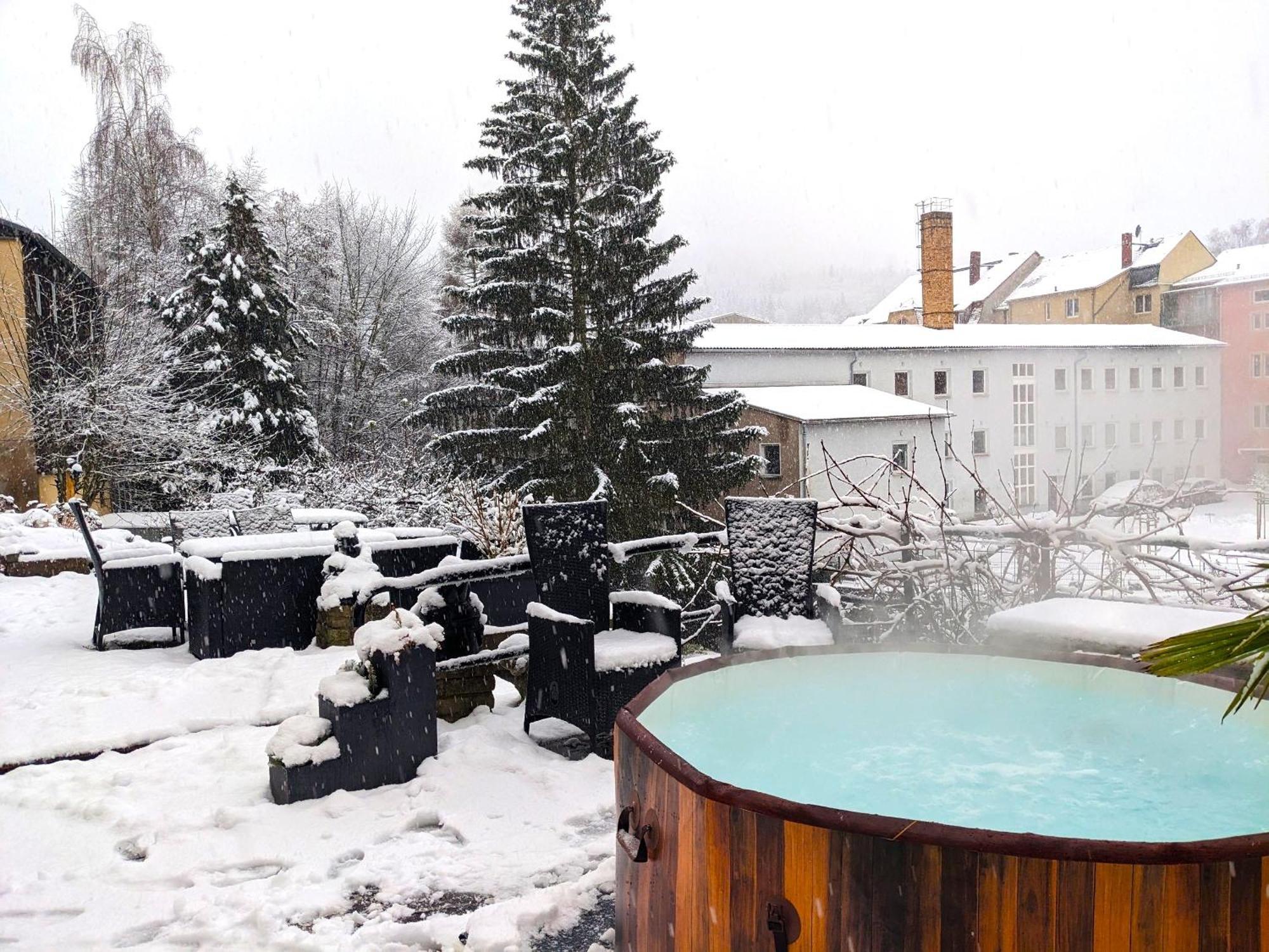 F1 - Urlaubsmagie - Helle Wohnung Mit Sauna & Pool & Whirlpool Sebnitz Exteriér fotografie