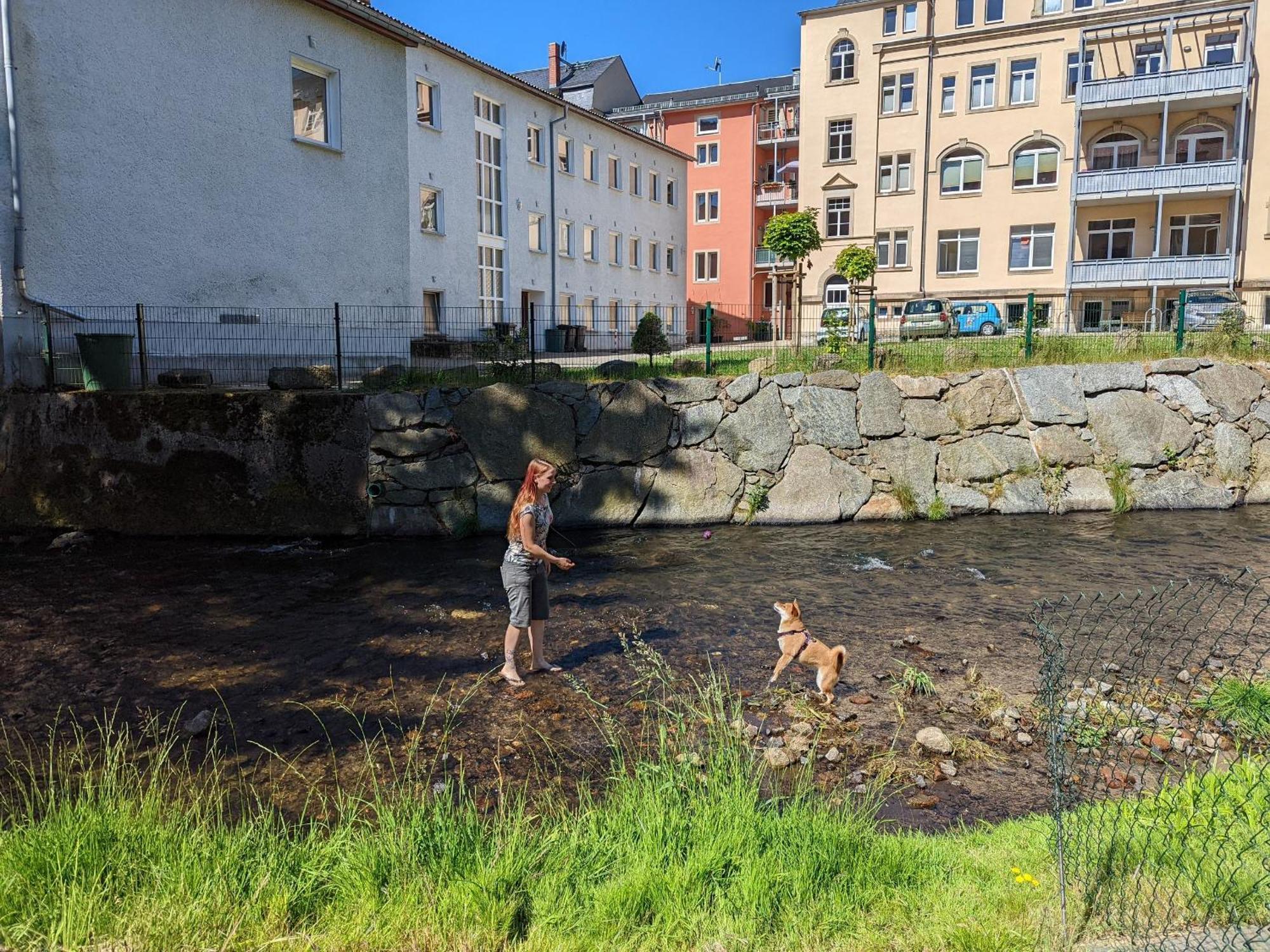 F1 - Urlaubsmagie - Helle Wohnung Mit Sauna & Pool & Whirlpool Sebnitz Exteriér fotografie