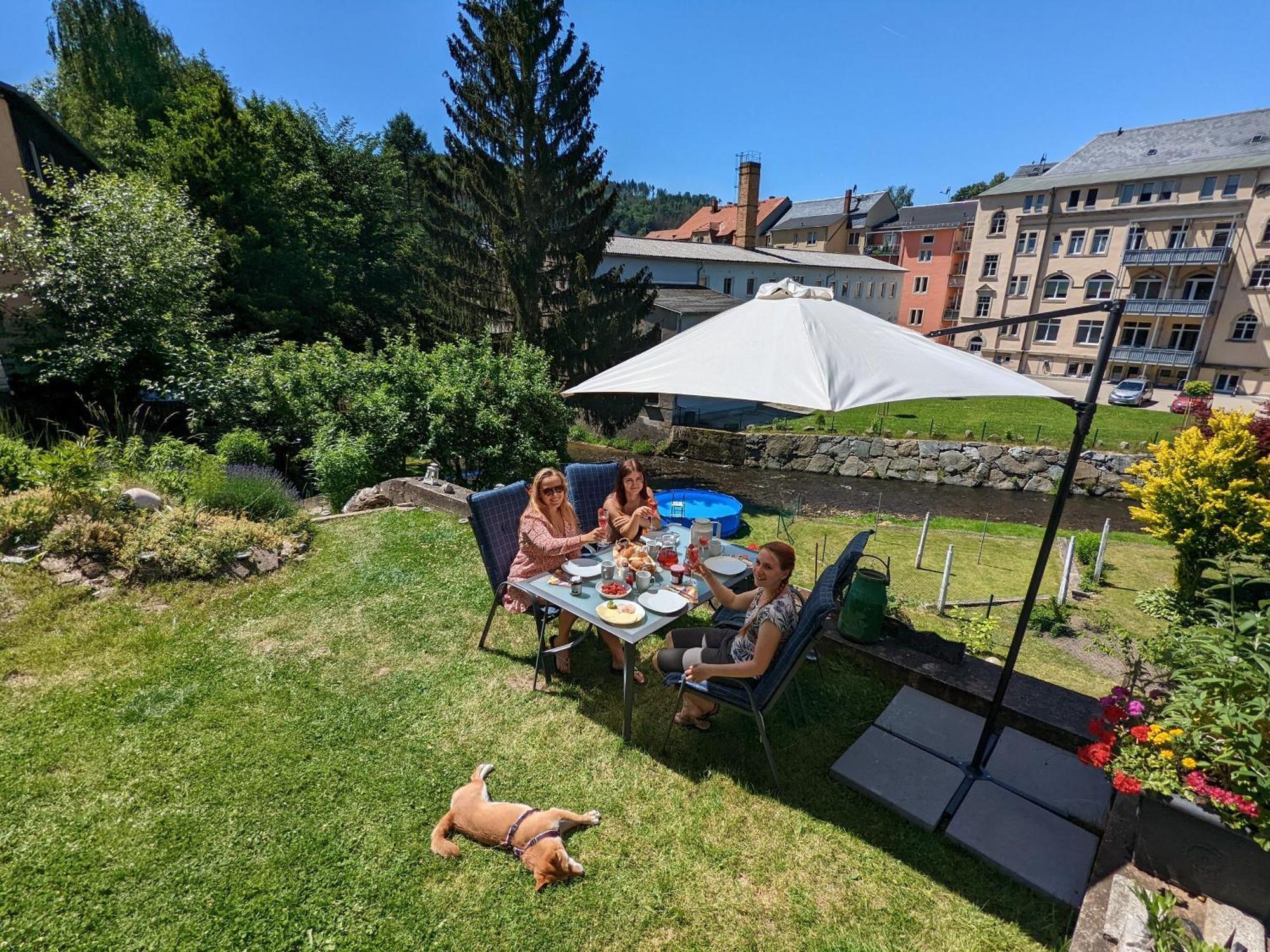 F1 - Urlaubsmagie - Helle Wohnung Mit Sauna & Pool & Whirlpool Sebnitz Exteriér fotografie