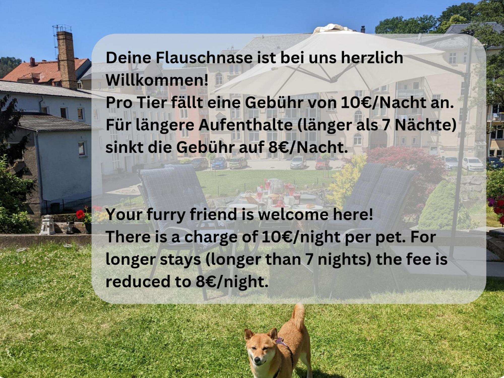 F1 - Urlaubsmagie - Helle Wohnung Mit Sauna & Pool & Whirlpool Sebnitz Exteriér fotografie